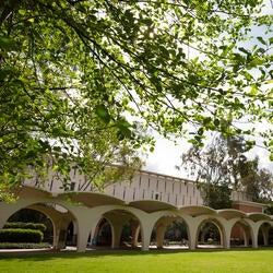 rivera bridge