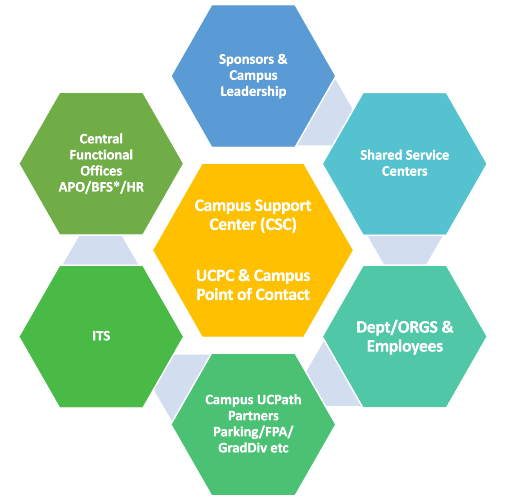 CSC Structure